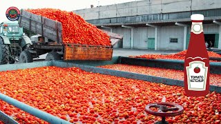 How Tomato Sauce Is Made In Factory  How Ketchup is Made [upl. by Neenaej]