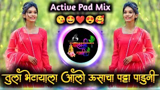 Tula Bhetayala Aalo Usacha Patta Paduni Dj Song  तुला भेटायला आलो ऊसाचा  Active Pad Mix Dj Balaji [upl. by Venola444]