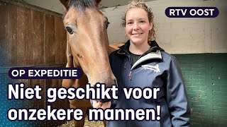 Op zoek naar ideaal zaad hoe fok je het beste springpaard ter wereld  RTV Oost [upl. by Maury]