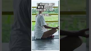 Zen Vitality Zazen and Koans Explained shorts [upl. by Zurek]