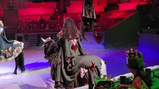 medieval times dallas different show [upl. by Rosse]