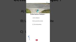 Que signifie cette balise routière  obstacle priorité intersection ou virage dangereux  Test [upl. by Leduar]