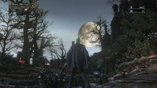 Bloodborne PC has lighting fixed now shadps4 v031 [upl. by Kolk]