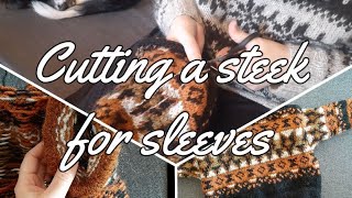 Cutting a steek for a sleeve knitting [upl. by Manup]