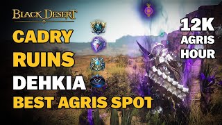 BDO  Best Agris Spot Ever  Cadry Ruins Dehkia  TipsampTricks  Everything You Need to Know  Guide [upl. by Yrrak938]