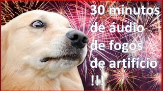 Como dessensibilizar o cachorro com medo de fogos de artifício [upl. by Ahseenyt]