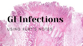 GI Infections Using Kurt’s Notes pathology path gipath pathagonia [upl. by Malvia]