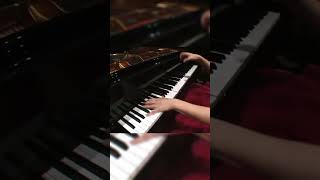 Liszt Totentanz w Valentina Lisitsa 22 [upl. by Conlin]