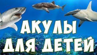 Акулы для детей  морские животные  учим рыб  развивающее видео [upl. by Annoiek]