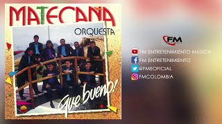 Gracias Amor  Matecaña Orquesta  Salsa [upl. by Capps888]