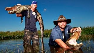 Gator boys the tv show alligator show tricks wrestling expl [upl. by Aundrea]