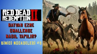 RDR2 Binici Mücadelesi Hayvan Ezme Horseman Challenge 5 [upl. by Teplica]