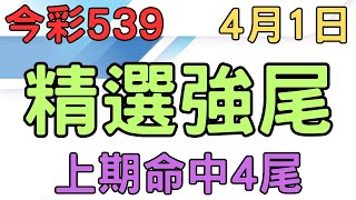 今彩539｜精選強尾｜4月1日｜少年狼539｜上期命中4尾 [upl. by Farly]