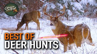 25 Deer Hunts Under 15 Minutes ULTIMATE Deer Hunting Compilation  BEST OF [upl. by Arakaj872]