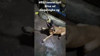 RampJ kennel boll drive Ed magalingka na [upl. by Shelden935]