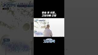 방송 후 이혼 고딩아빠 근황 shorts [upl. by Ailemaj]