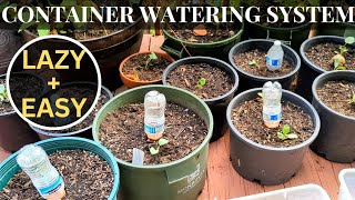 Best way to water container plants  Olla spikes vs Plastic bottle [upl. by Sej606]