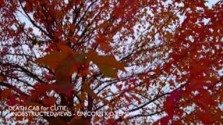 Death Cab for Cutie  Unobstructed Views Unicorn Kid Remix Official Audio [upl. by Theola]