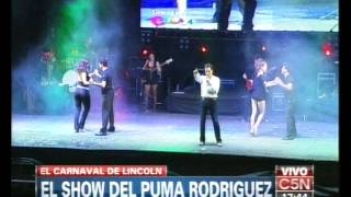 C5N  VERANO 2013 CARNAVAL EN LINCOLN PARTE 1 [upl. by Madalena35]