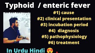 typhoid fever  enteric fever In Urdu Hindi [upl. by Filiano180]