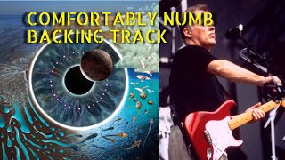 Comfortably Numb  PULSE  Backing Track Last Solo With Audience [upl. by Odradlig]