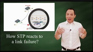 How STP reacts to a link failure [upl. by Lisle]