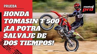 Prueba Honda Tomasin T 500… ¡La potra salvaje de dos tiempos [upl. by Aracaj206]