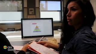 Study Business Administration at CEU Valencia [upl. by Neff]