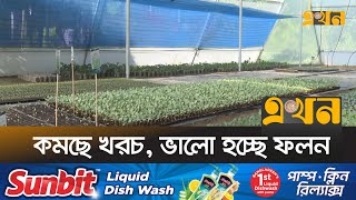 খুলনায় পলিনেট পদ্ধতিতে চাষাবাদ শুরু  Polynet Farming  Khulna  Ekhon TV [upl. by Eenahs705]