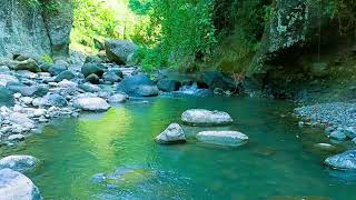 Relaxing birds amp water sounds nature river sounds for sleep meditation relaxation flowing water [upl. by Enasus]