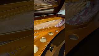 Bosendorfer 280VC Concert Grand Piano [upl. by Friede427]