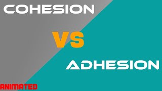 Cohesion vs Adhesion [upl. by Yssep]