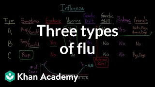 Three types of flu  Infectious diseases  Health amp Medicine  Khan Academy [upl. by Jaquelin363]