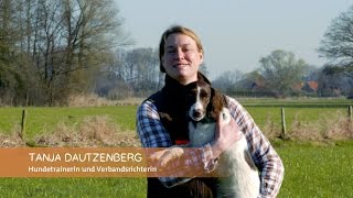 Basisausbildung für den brauchbaren Jagdhund quotSitz und Platzquot [upl. by Bautista]