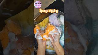 ASMR Sudsy sponge ripping VS Bleached sponge ripping😶‍🌫️🫧 shorts sponges spongeripping suds [upl. by Zischke]