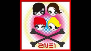 2NE1  DONT STOP THE MUSIC Audio KRVER [upl. by Ynnahc]