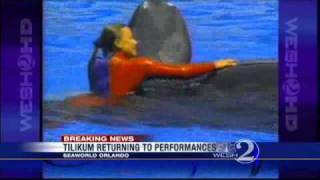 Whale That Killed Trainer Returning To SeaWorld Shows [upl. by Hassadah82]