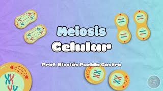 Meiosis en 5 minutos [upl. by Kistner]