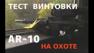 Карабин AR10 против СЕКАЧА ЛИСЫ и ВОЛКОВ [upl. by Azilef]