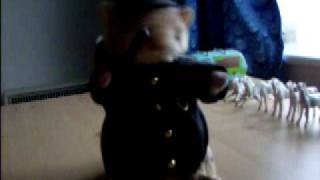 Dancing Hamster  Sarge Bad boys COPS ITS FILMED ON LOCATION [upl. by Nolly648]