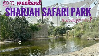 Safari park Sharjah [upl. by Peg963]