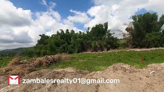 200 SQM Subdivided Farm Lot in San Felipe Zambale [upl. by Asilrahc]