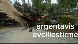 argentavis nasil evcillestirilir ozellikleri nelerdir [upl. by Ahcarb]