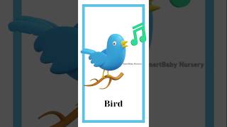 🃏🎴Flashcards kidsvideo baby education [upl. by Nnaed216]