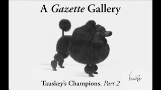 AKC Gazette Gallery • Tauskey’s Champions Part 2 [upl. by Pavlov]