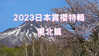 2023日本賞櫻特輯東北篇弘前城  蘆野公園  岩木山櫻花隧道  田澤湖  米內淨水場  Japan Cherry BlossomTouhoku region [upl. by Theo765]