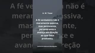 Não pare de lutar  A W Tozer FrasesDePastores MotivaçãoCristã PalavraDeDeus [upl. by Nilyak]