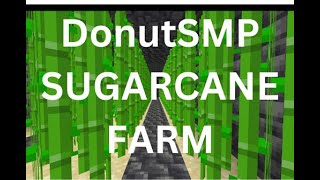 How to make a simple sugarcane farm on the DonutSMP [upl. by Buatti377]