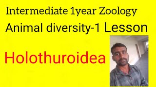 Intermediate 1year Zoology ANIMAL DIVERSITY1 Lesson Holothuroidea [upl. by Nydroj]