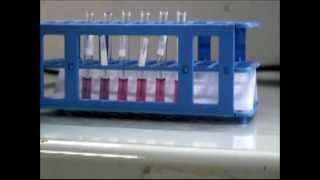 Production of lateral flow test in a basic equipped lab [upl. by Sara-Ann]